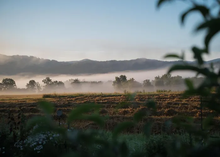 Tiny House Spielberg بيت للعطل *